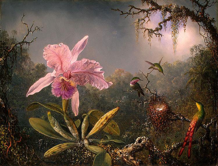 Martin Johnson Heade Cattleya Orchid and Three Brazilian Hummingbirds